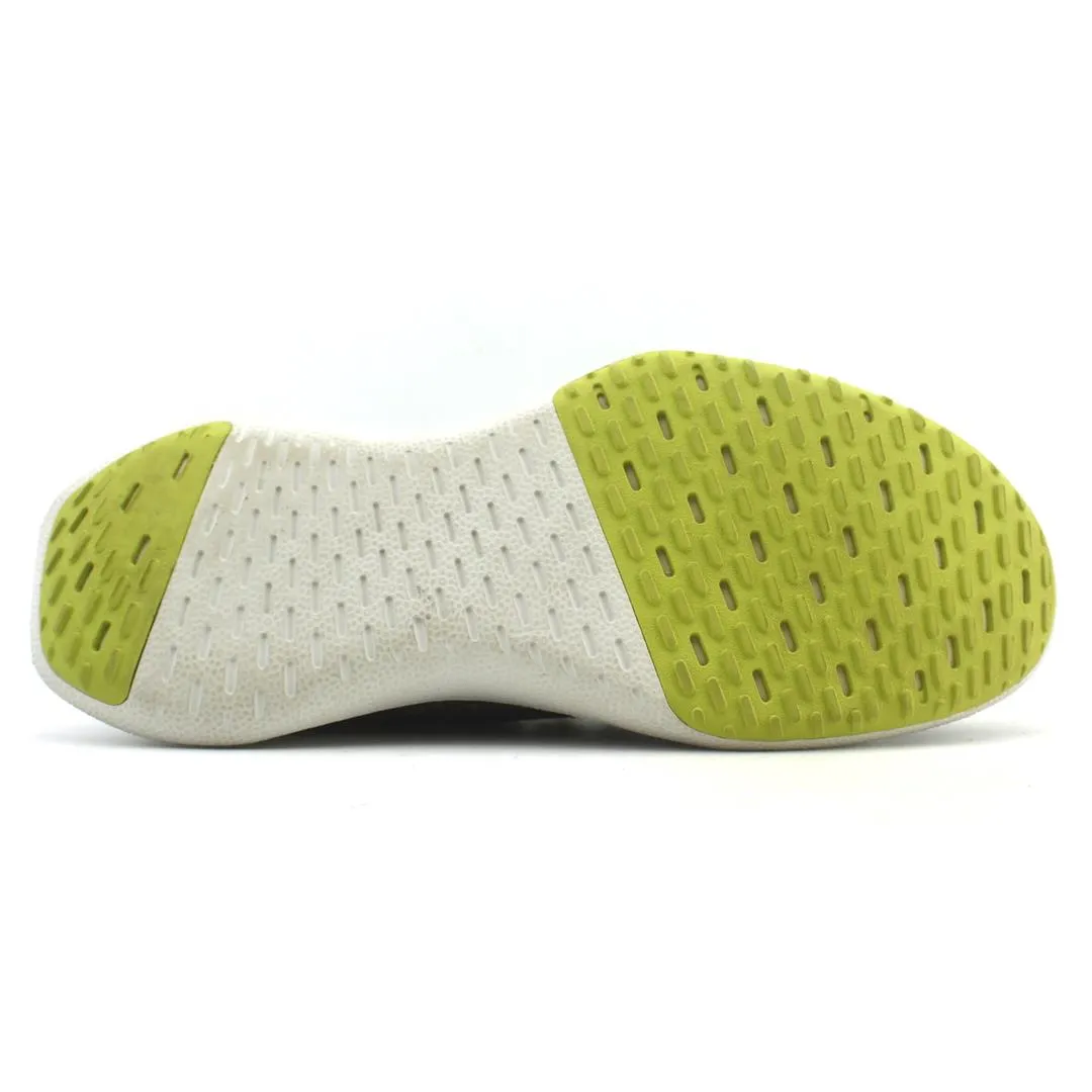 Allbirds Wool Dasher Mizzles - LIMITED EDITION: Green Mist EX